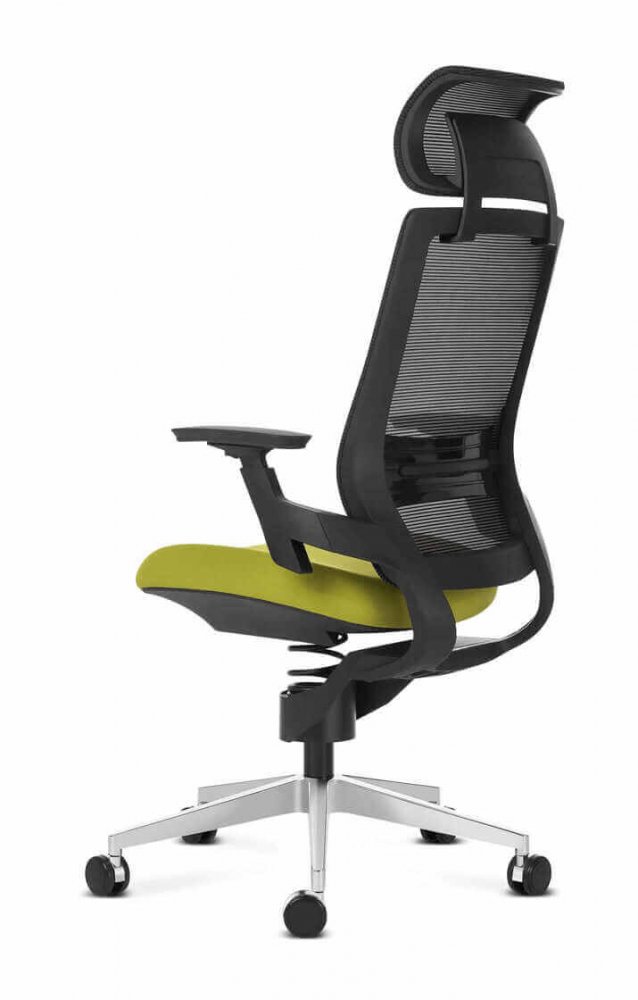Adaptic COMFORT - Comfortable therapeutic office chair for medium and large build for healthy back