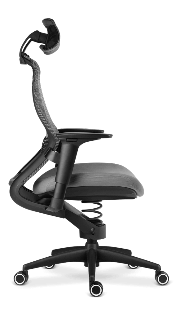 Adaptic Xtreme Therapeutic chair to the office for healthy back